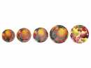 Einmachdeckel 82 mm Twist Off Deckel Obst...