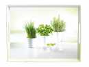 Emsa Tablett Serviertablett aus Melamin 50x37 cm...