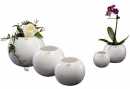 Kugelvase Sandra Rich H 11 cm, ø 13 cm