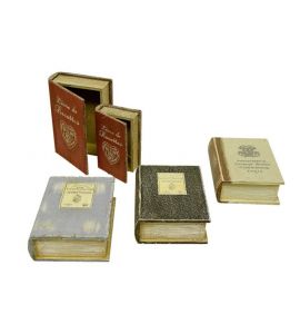 2SZ Dekobox Buch sort