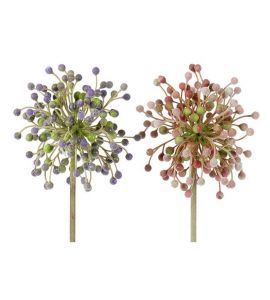 Allium Star lavendel 76cm