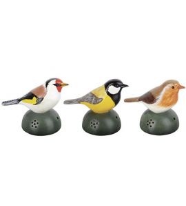 Bewegungsmelder Vogel sort.