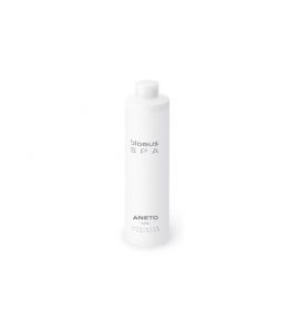 Blomus Raumduft Aneto 300 ml