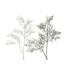 Bonanzakrautzweig 80cm grün-ws