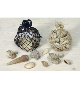 Btl.250g Muscheln sort.