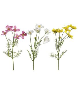Cosmea 67cm gelb