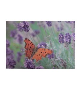 Esschert Fussmatte Schmetterling