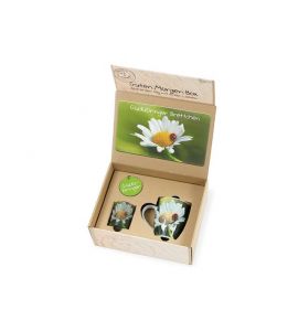Geschenkset Glücksbringer 4t