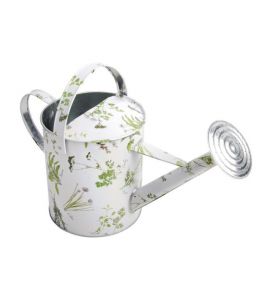 Gießkanne Kräuterdruck 5ltr.