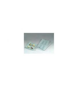 Gusto Schale + Pl. 21*38