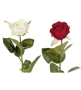Kolumbianische Rose 43cm rot