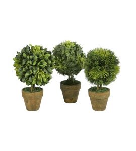 Mini-Kugelbaum-Sorti.i.Topf20