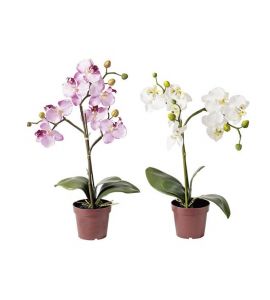 Orchidee im Topf creme 54cm