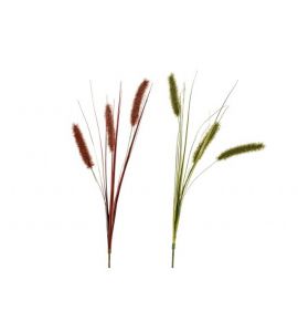 Pfeifenputzergras 63cm grün