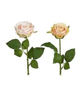 Rose Wasserstiel 47,5cm h-rosa
