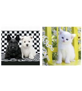 Servietten Hunde 33x33 cm