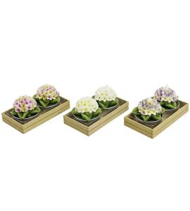 Teelicht-Set Blüten 2st.