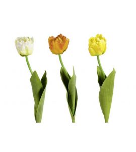 Tulpe 64cm orange