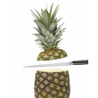 Hansi Ananasschneider Pinea