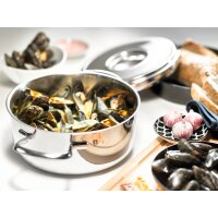 Schulte Ufer Bratentopf Romana i 22 cm 3,4 ltr. Edelstahl