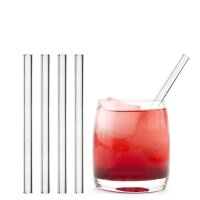 Halm Glastrinkhalme 15 cm gerade 4-er Set mit Reinigungsbürste