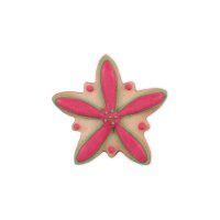 Städter Keksausstecher Edelweiß 4,5 cm Edelstahl