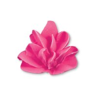 Städter Spritzbeuteltüllen Rosentülle 15mm gerade Edelstahl