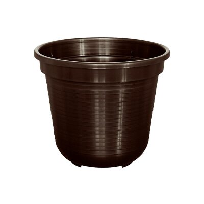 blumenkasten komplettset Balkonbox Rosy Velvet kaufen main image 1