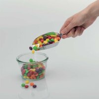 Westmark Haushaltsschaufel Hygia 48 ml