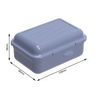Rotho Lunchbox Fun 0,40 ltr. horizon blue