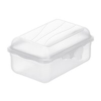 Rotho Lunchbox Fun 0,40 ltr. transparent