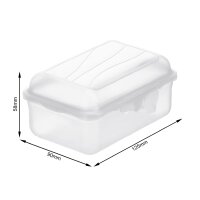 Rotho Lunchbox Fun 0,40 ltr. transparent