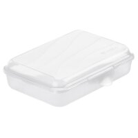 Rotho Lunchbox Fun 0,45 ltr. flach transparent