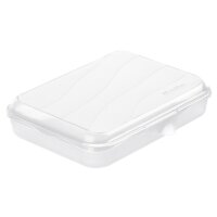 Rotho Lunchbox Fun 0,75 ltr. transparent