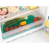 Wenko Kühlschrank Frischhaltematte 47x30 cm grün