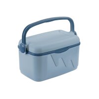 Curver Kühlbox mit Deckel und Bügelgriff S 10...