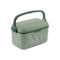 Curver Kühlbox mit Deckel und Bügelgriff S 10...