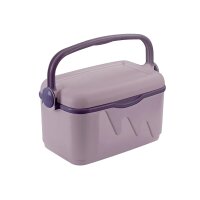 Curver Kühlbox mit Deckel und Bügelgriff S 10...