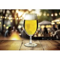 Axentia Biertulpe Bierglas 390 ml Glas 6er Set